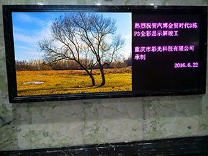 汽博金貿(mào)時(shí)代3棟 P3室內(nèi)全彩