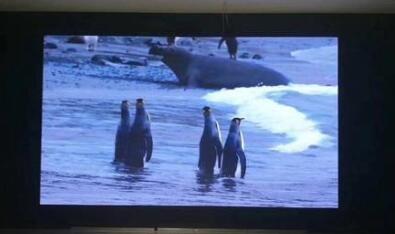 LED顯示屏.jpg LED顯示屏.jpg